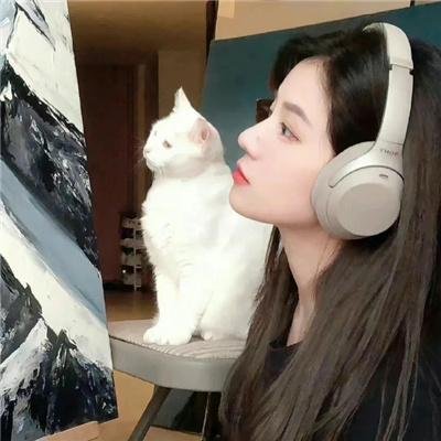 月光挚情